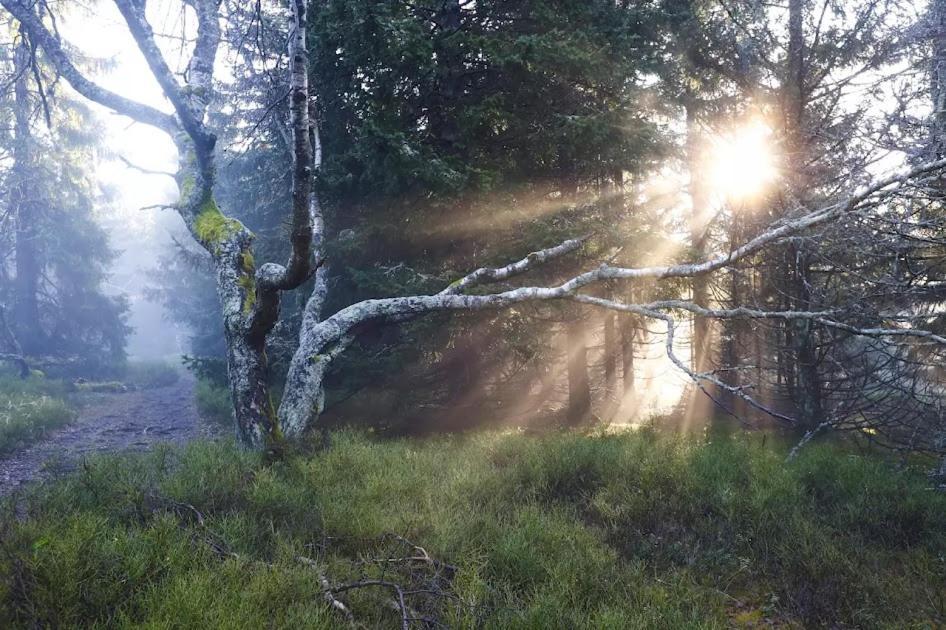 Wellness Pension Iveta Жаклерж Экстерьер фото