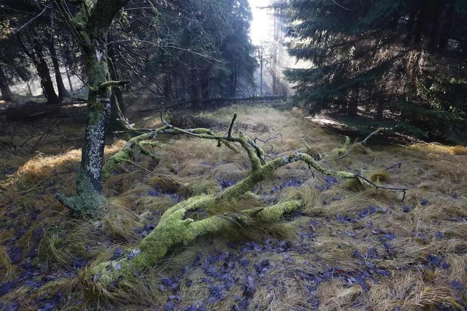 Wellness Pension Iveta Жаклерж Экстерьер фото