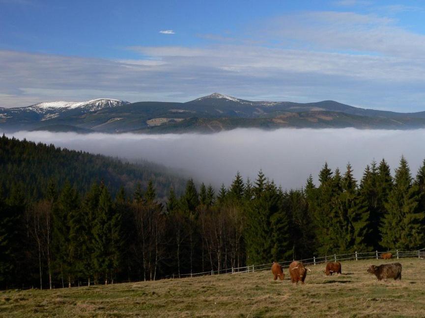 Wellness Pension Iveta Жаклерж Экстерьер фото