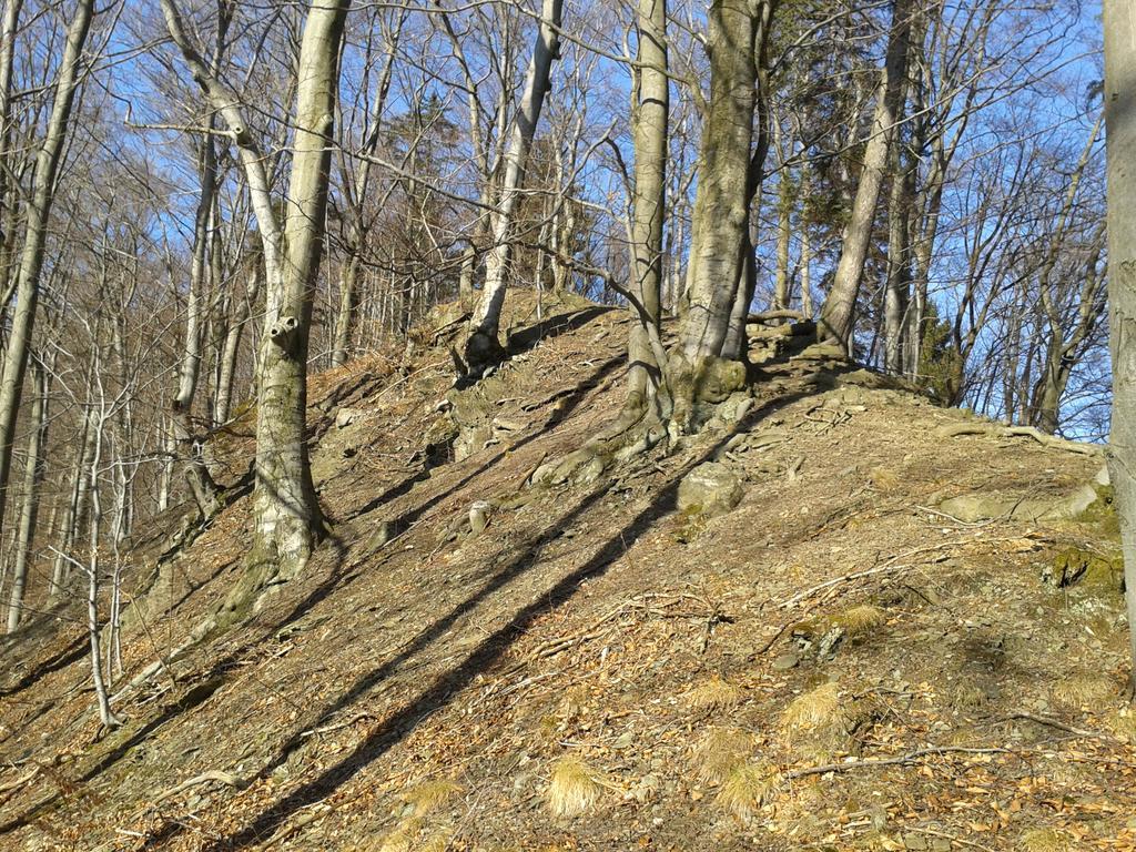 Wellness Pension Iveta Жаклерж Экстерьер фото