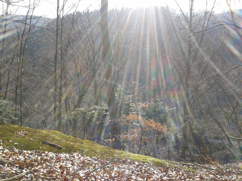 Wellness Pension Iveta Жаклерж Экстерьер фото