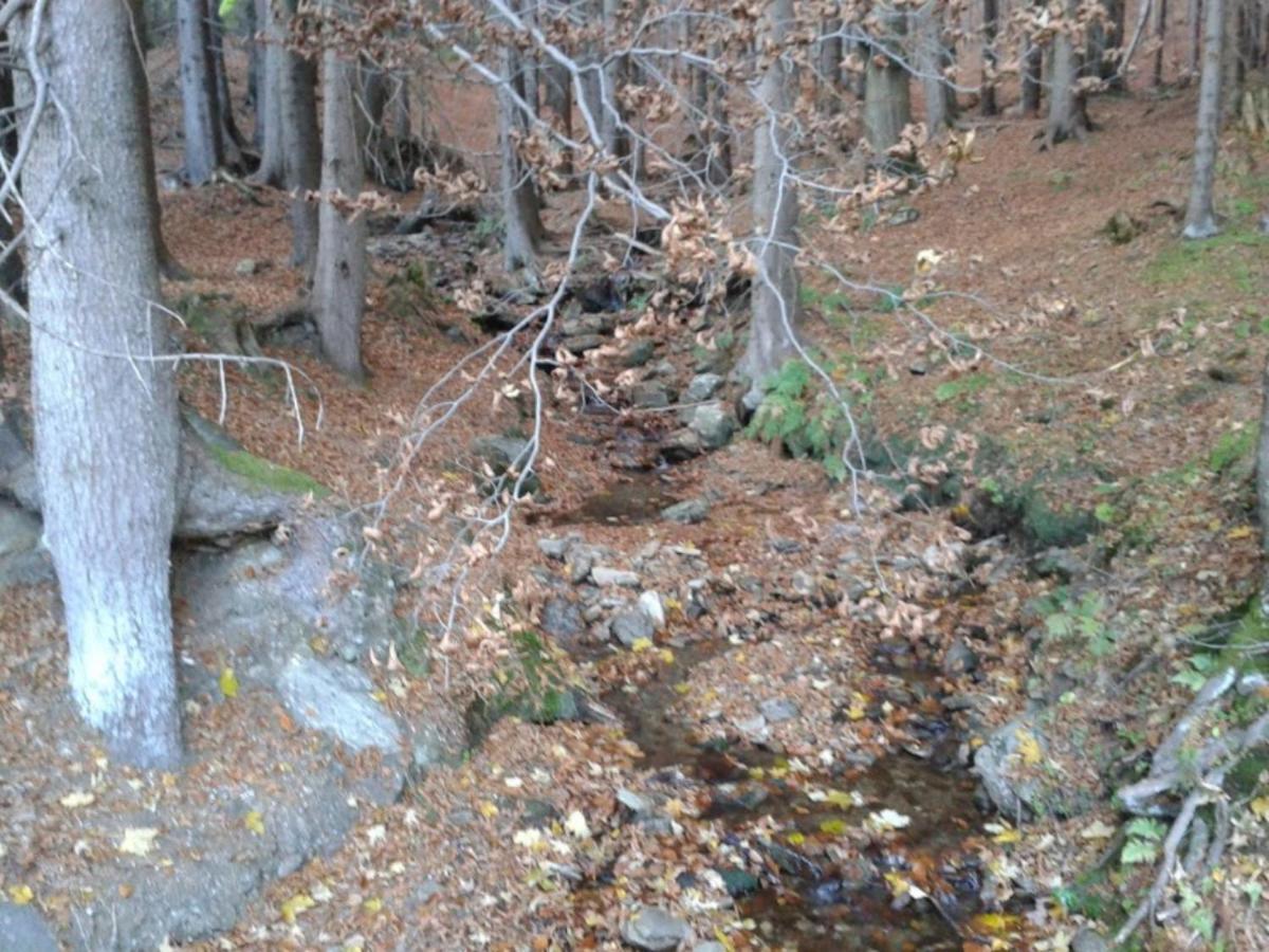 Wellness Pension Iveta Жаклерж Экстерьер фото